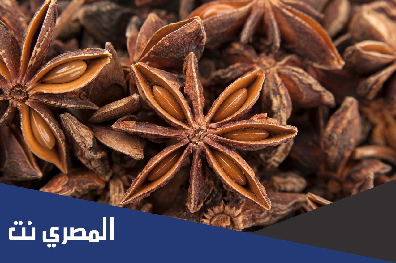 ما هي حبة الحلاوة في الجزائر