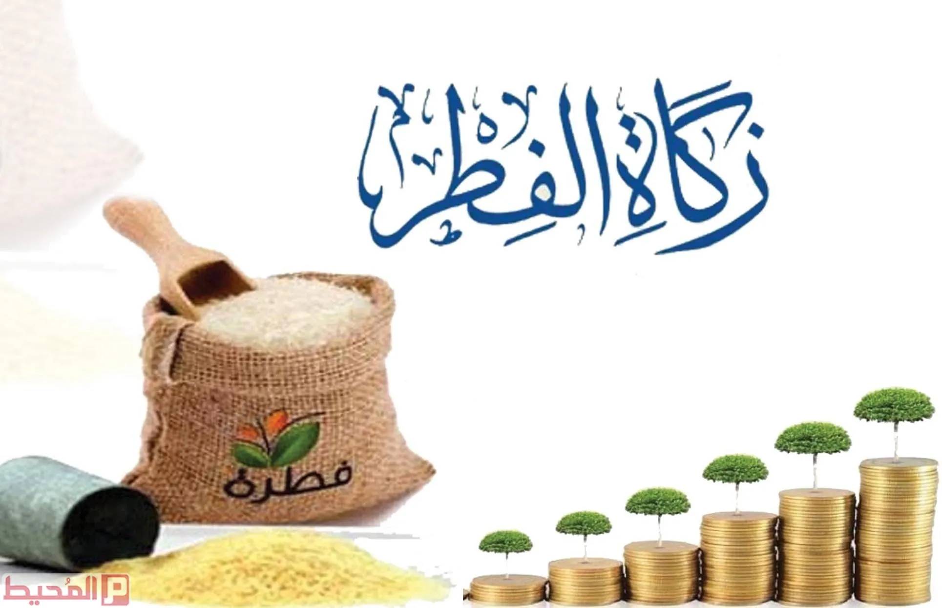ما هي زكاة الفطر 