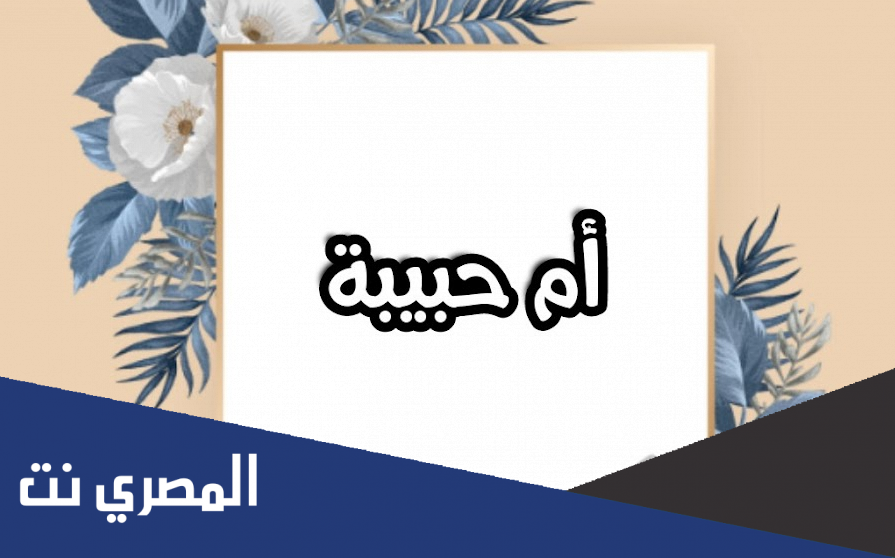 ماهي القبيله التي تنتمي اليها ام المؤمنين ام حبيبه