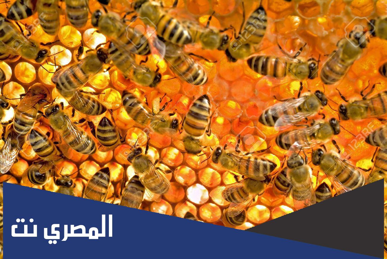 مكان يتسع لمئات الالوف هو