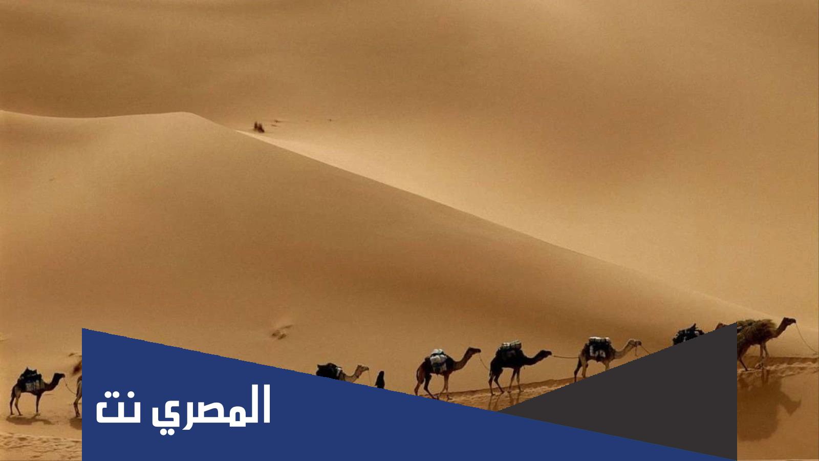 من الذي استاجره الرسول وابو بكر الصديق
