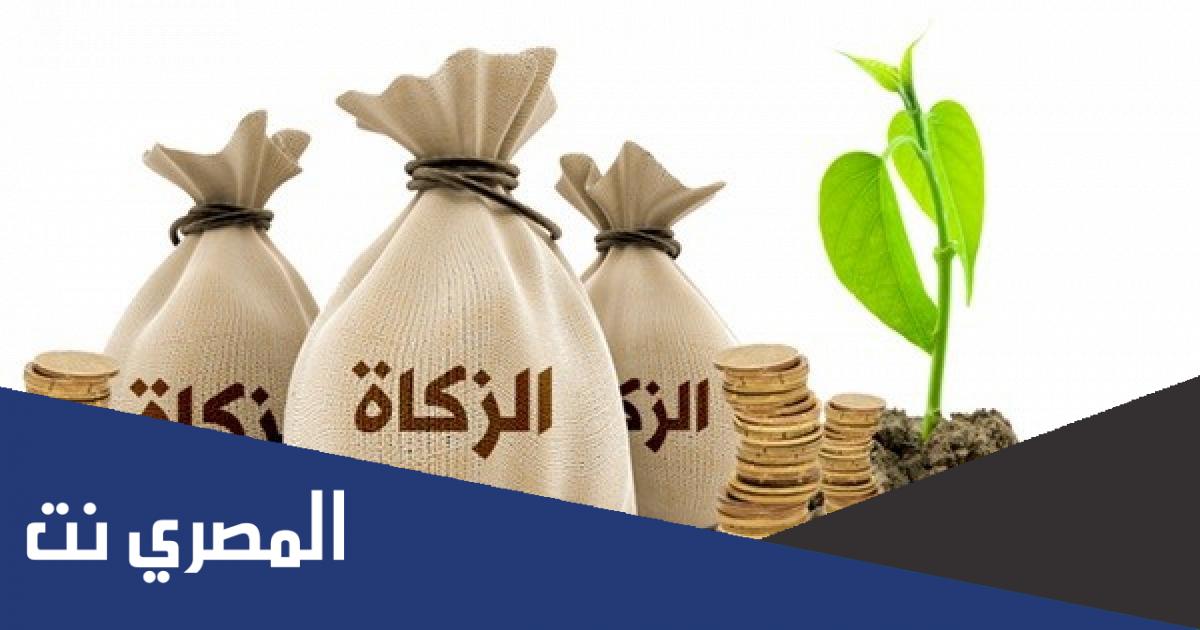 من الذين لا يستحقون الزكاة في رمضان