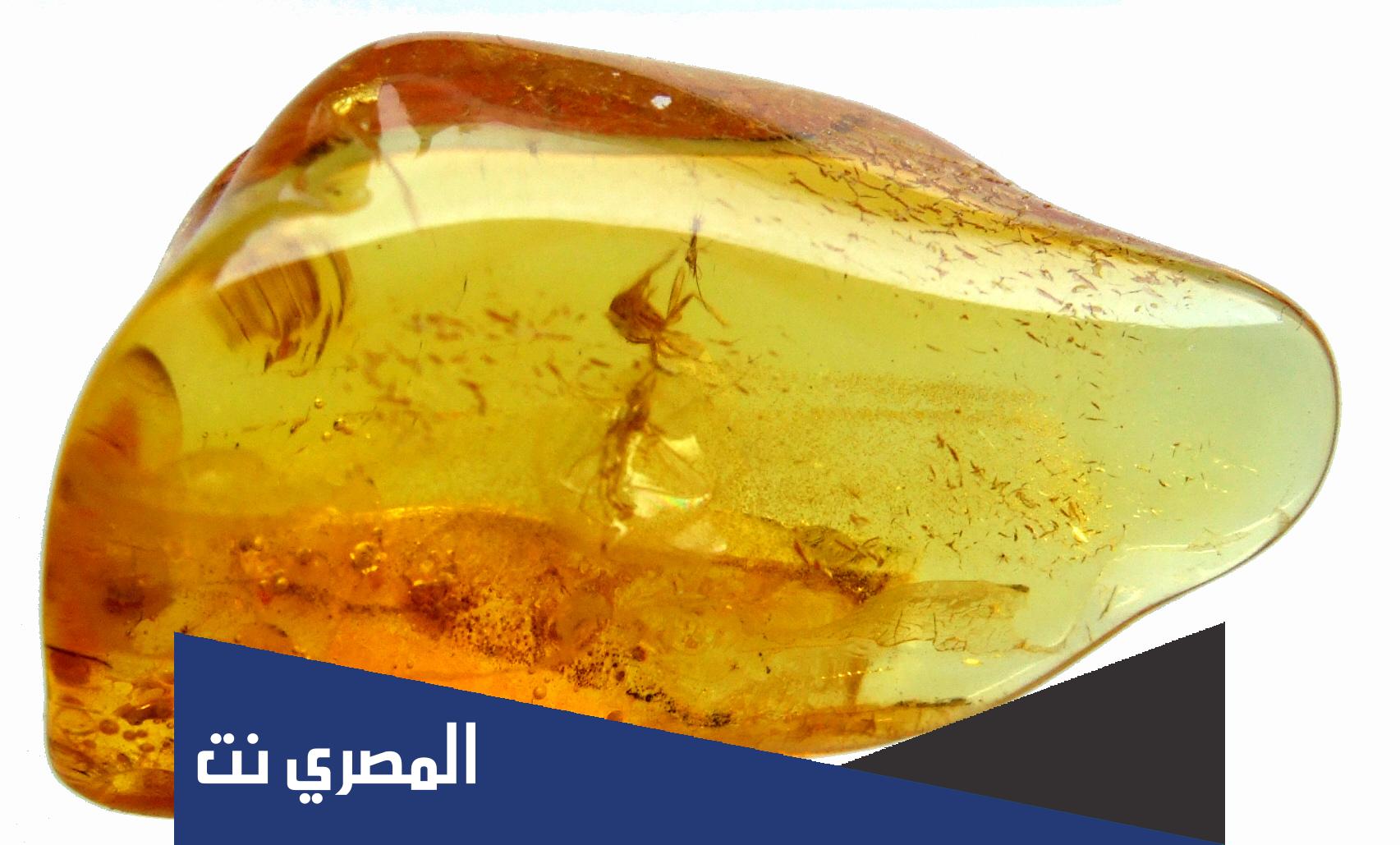 من اين يستخرج حجر الكهرمان