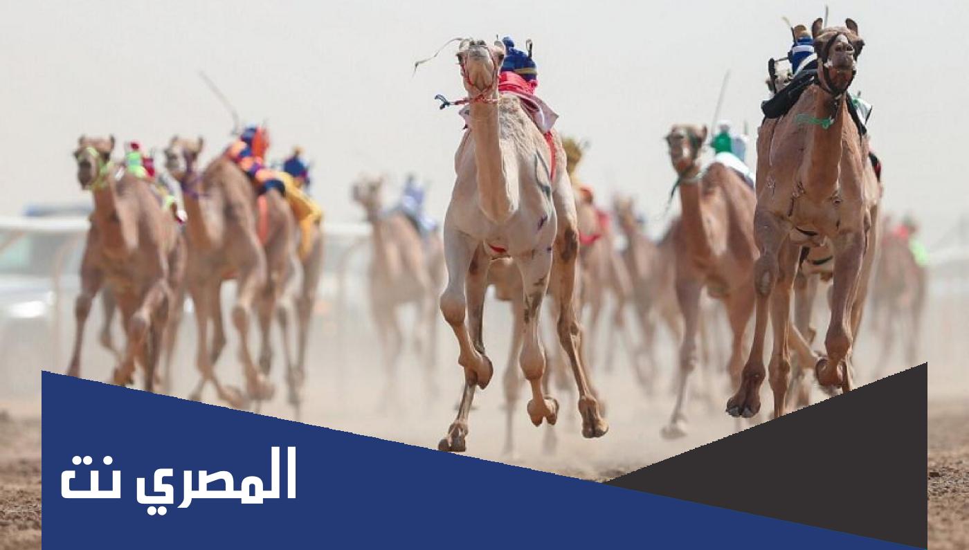 مهرجان ولي العهد للهجن 2019