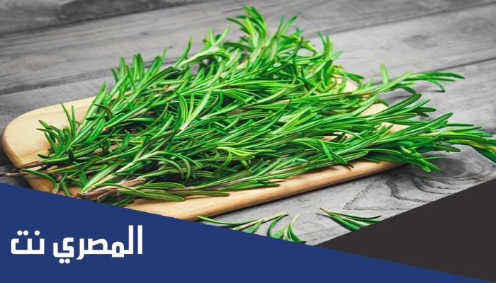 اكليل الجبل للشعر جابر القحطاني