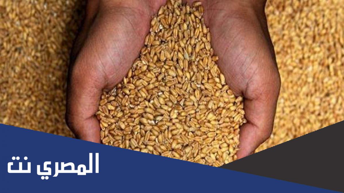اردب القمح كم كيلو ؟