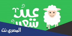 اجمل بوستات عن العيد الاضحى 2025