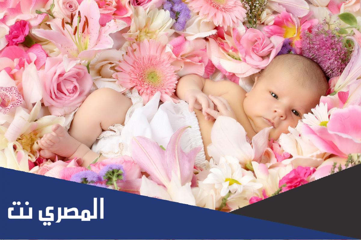 اجمل عبارات تهنئة و مبارك الحمل قائمة مسجات وعبارات تهنئة