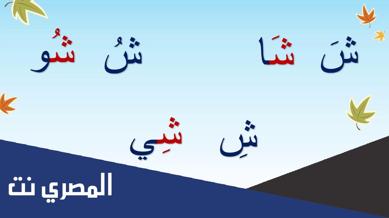 اسم حيوان نبات جماد بلاد بحرف ش