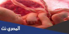 اعراض الحمل يوم نزول الدورة عالم حواء