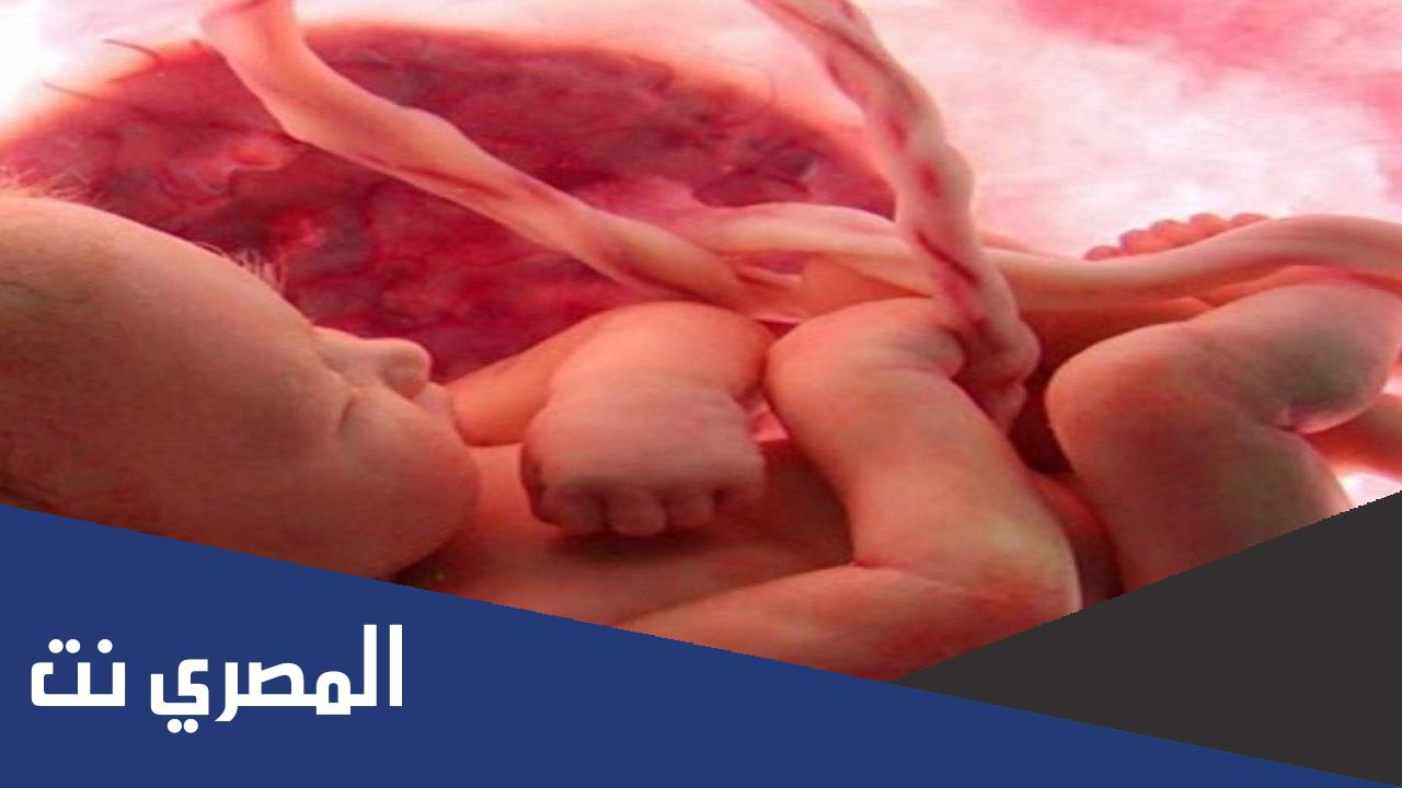اعراض الحمل يوم نزول الدورة عالم حواء