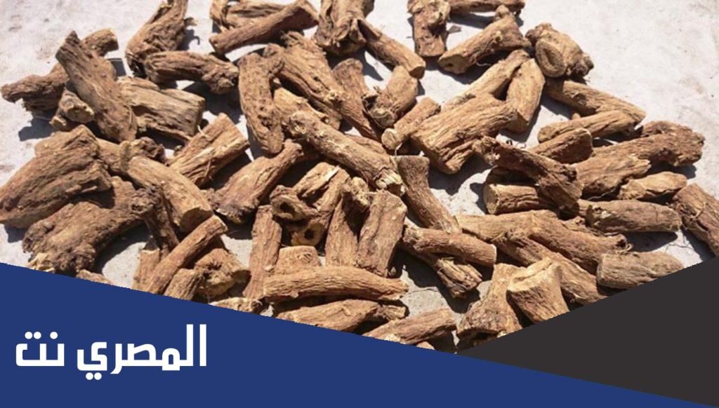 اعراض القسط الهندي على المسحور