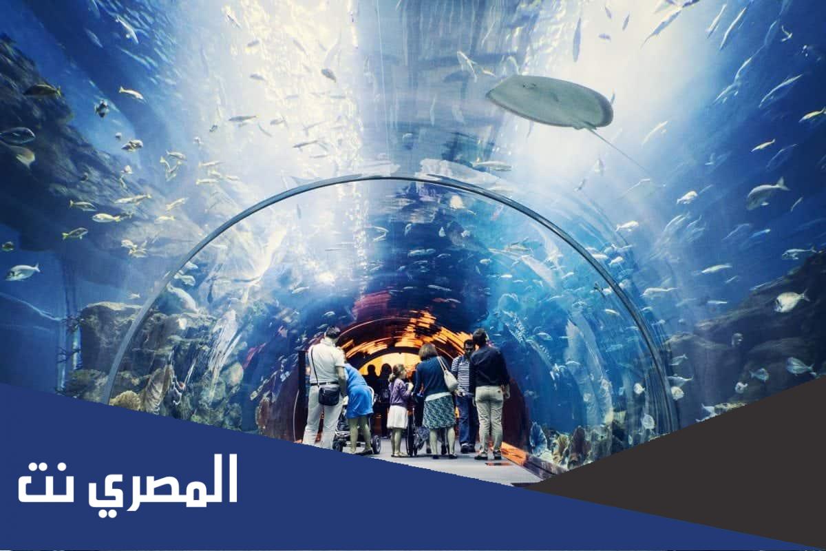 الاماكن السياحية في الشارقة للاطفال والعوائل