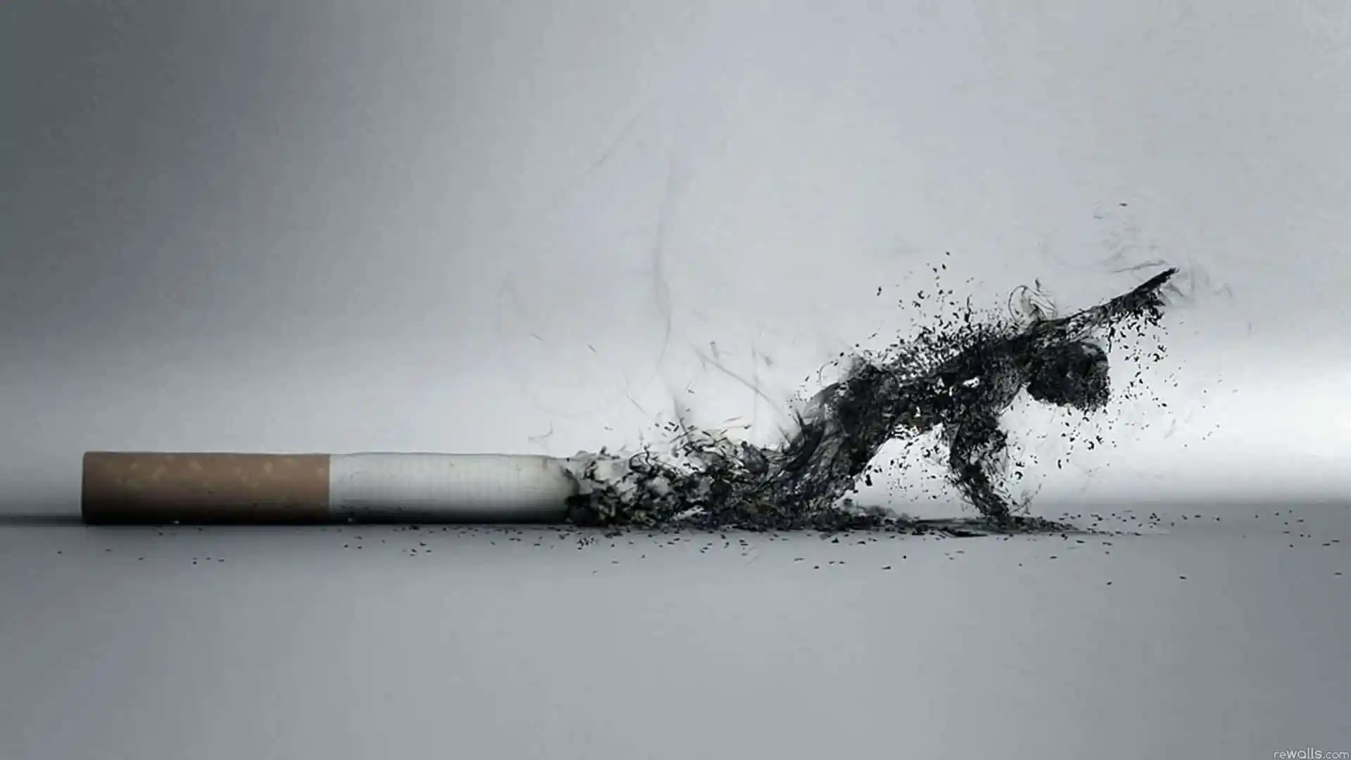 بحث عن اثر التدخين في تلويث البيئه المنزليه