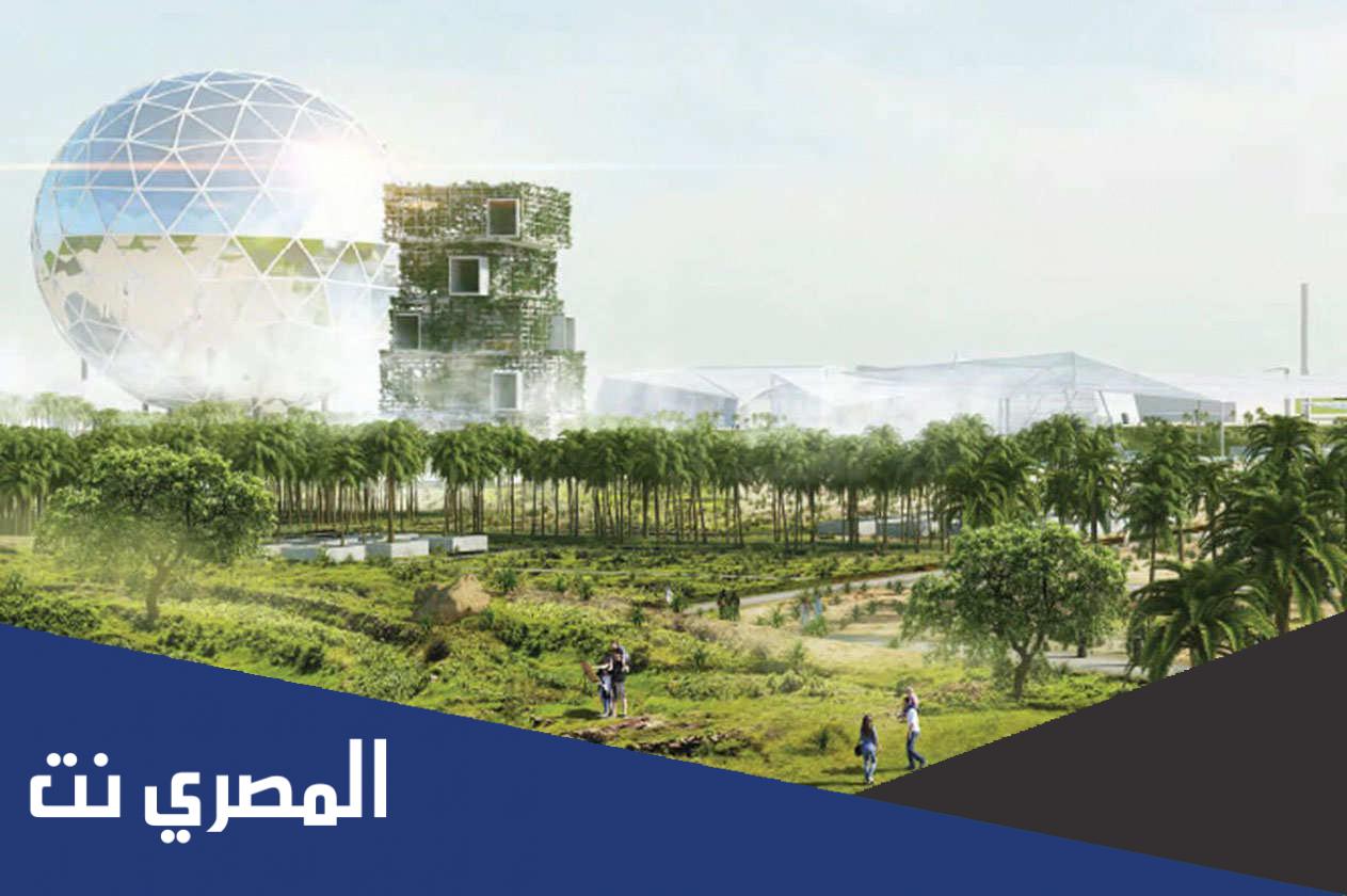 بحث عن برنامج الرياض الخضراء