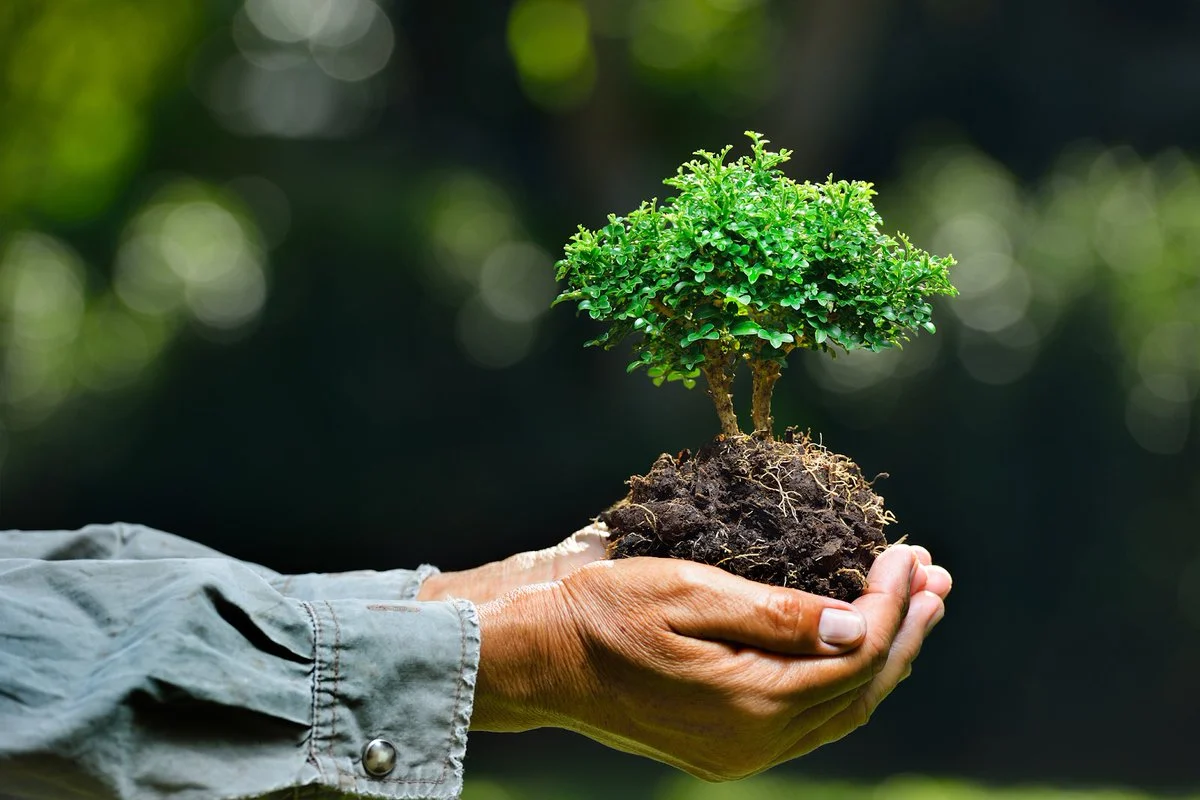 بحث عن دور الاسلام في المحافظة على البيئة