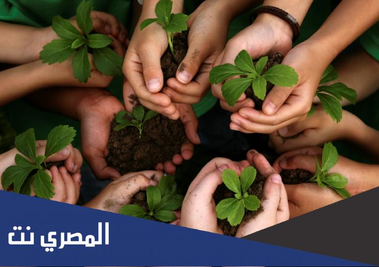 بحث عن دور القدوة في التعامل مع البيئة