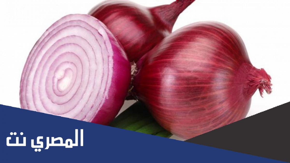 حديث أكل البصل عند السفر