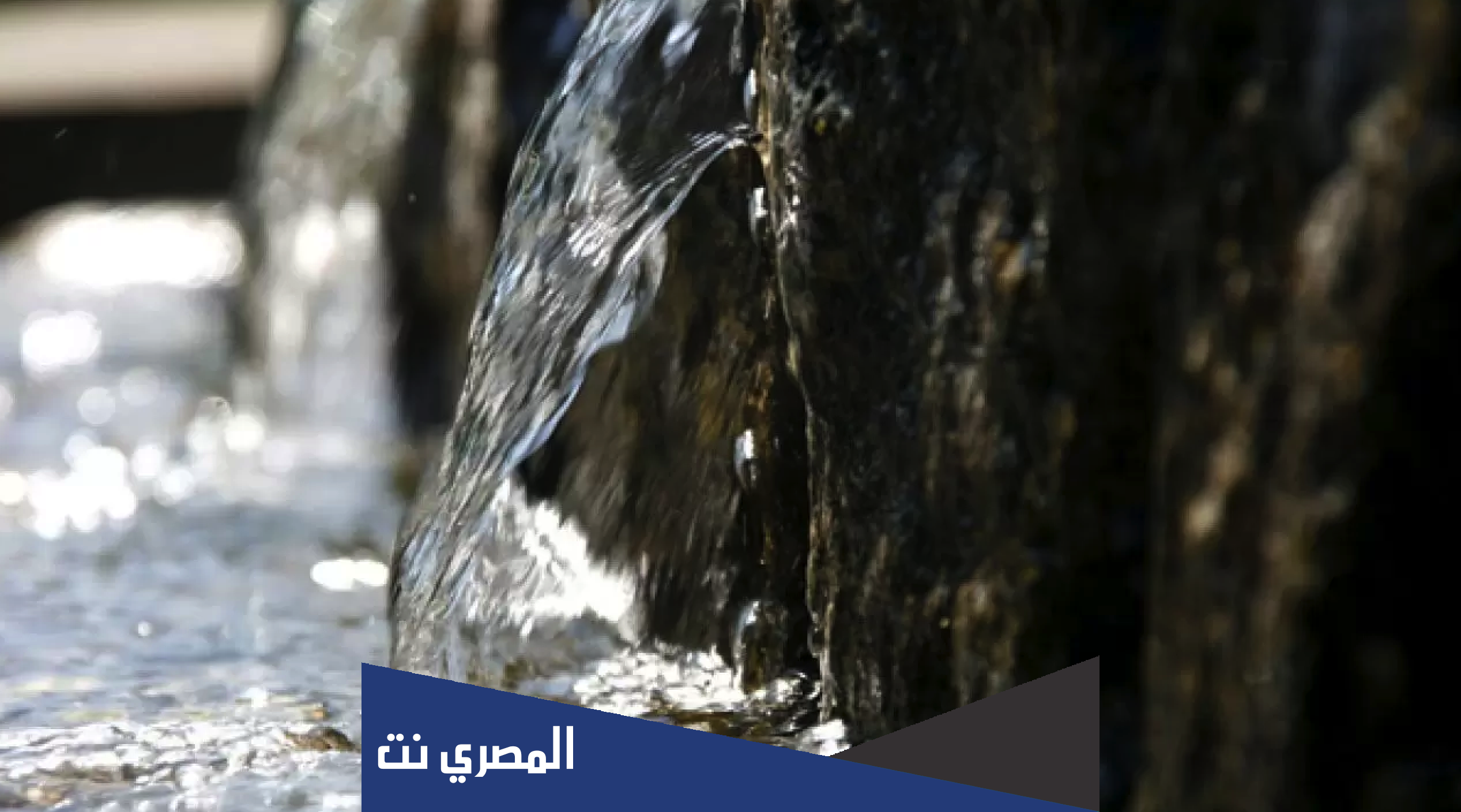 حديث ماء زمزم لما شرب له اسلام ويب