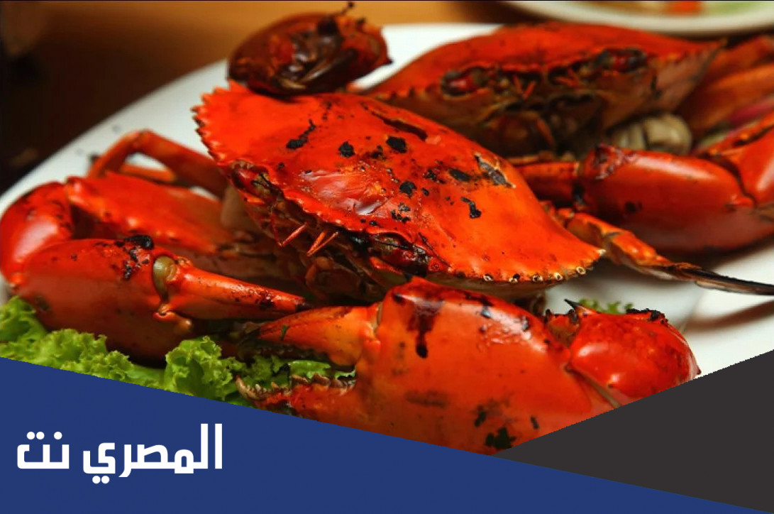شرح طريقة عمل الكابوريا فاطمة ابو حاتي