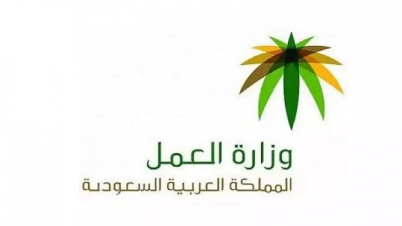 طريقة ورابط حجز موعد مكتب العمل أفراد إلكترونياً 2022