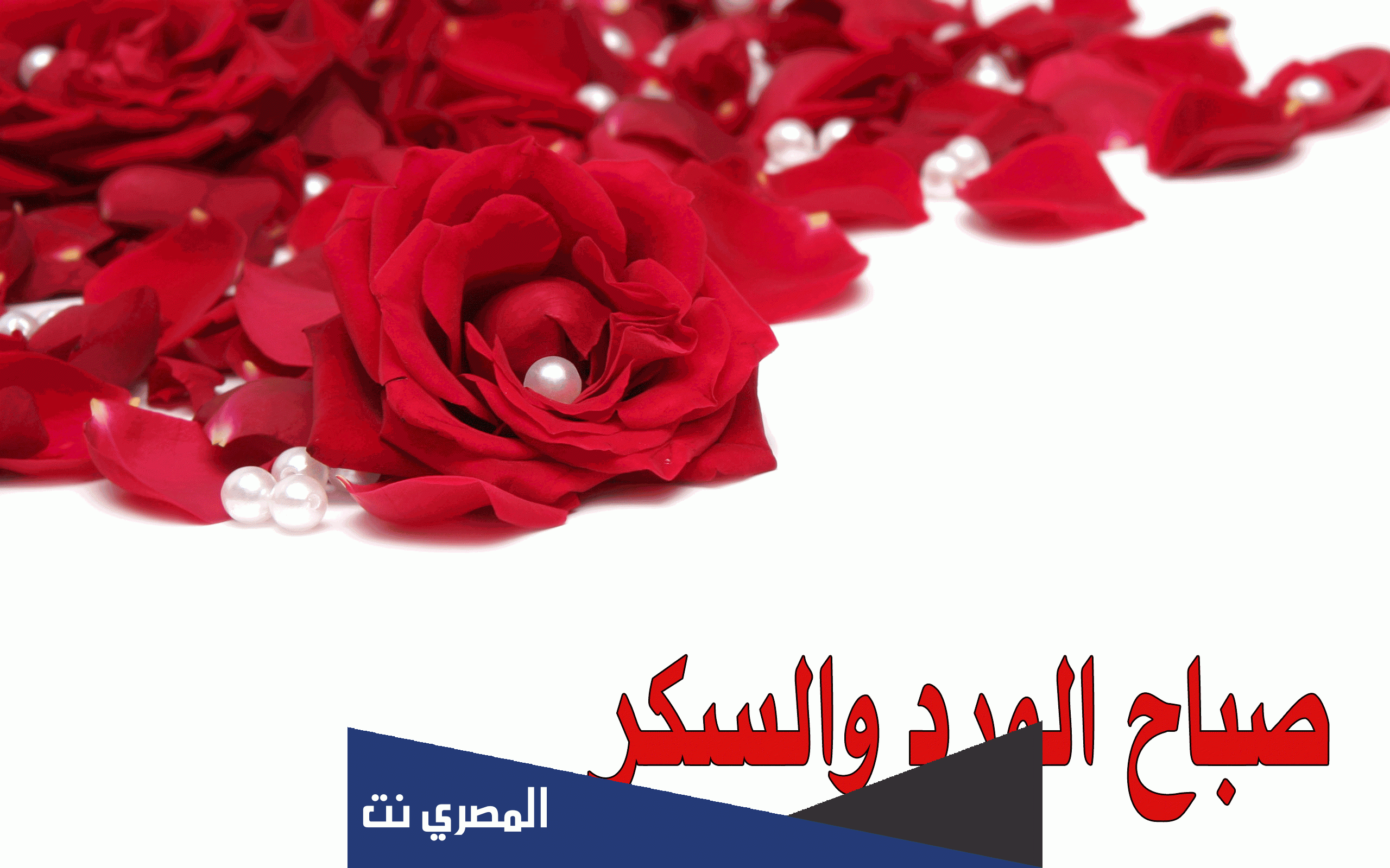 عبارات صباح الورد والياسمين 2022