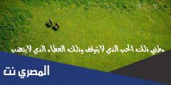 موضوع تعبير عن الوطن كامل العناصر