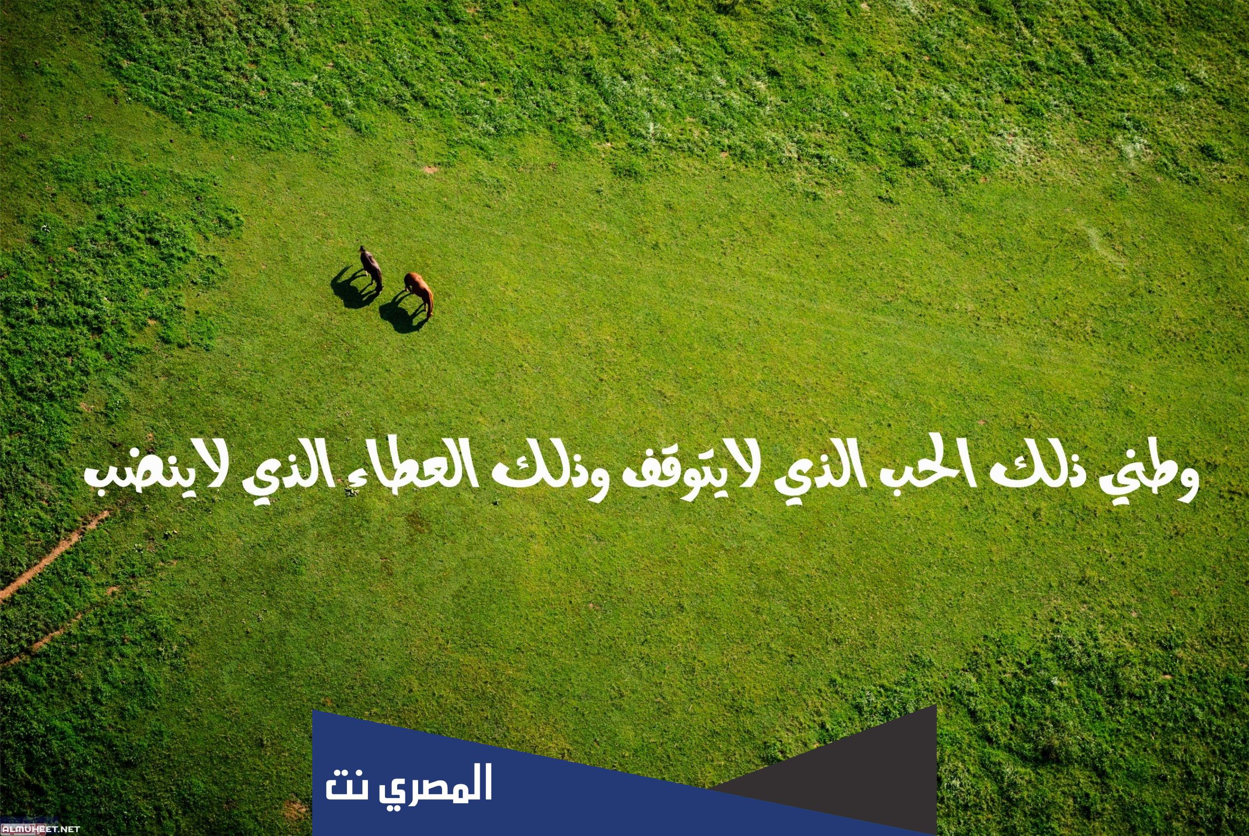 موضوع تعبير عن الوطن كامل العناصر