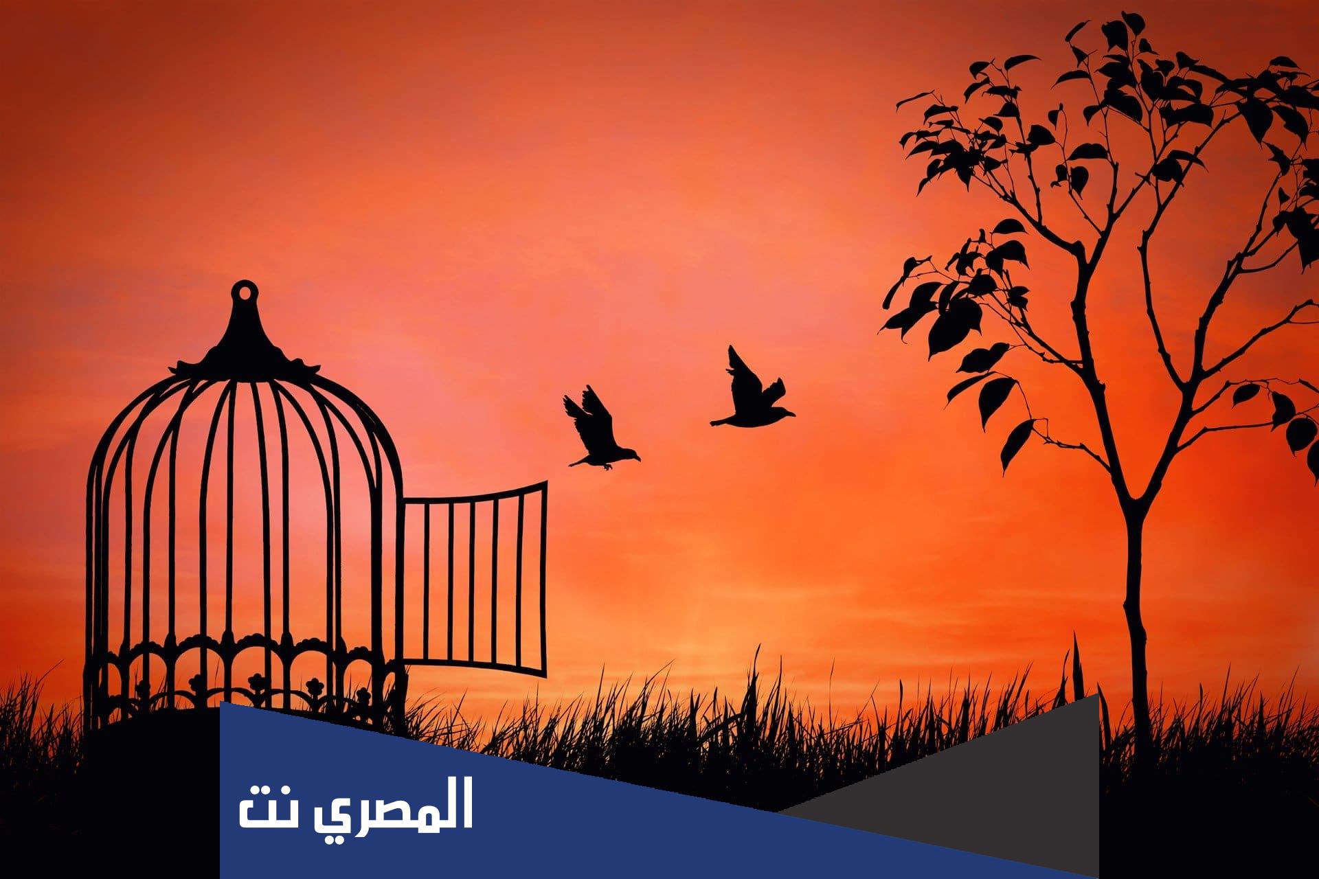 قصيدة عن الاستقلال مكتوبة