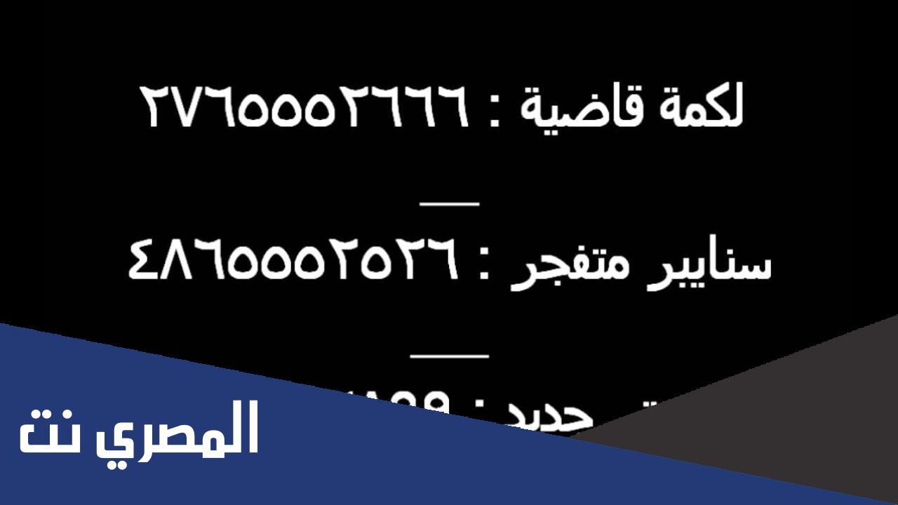 كلمات سر حرامي السيارات سوني 3