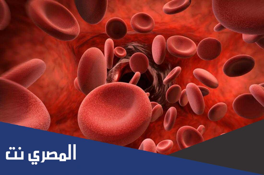 كم خلية دم حمراء يستطيع أنتاجها الجسم في اليوم الواحد ؟