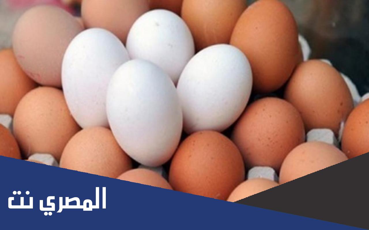 كم سعر البيض اليوم في السعودية