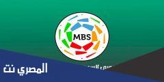 كم فريق يهبط في الدوري السعودي 2025