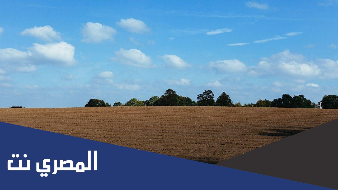 كم يساوي الهكتار من متر مربع