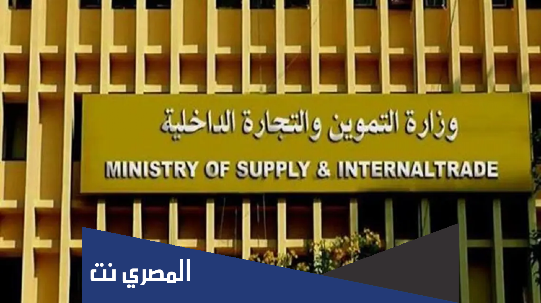 لينك موقع دعم مصر لتسجيل رقم الموبايل 2022