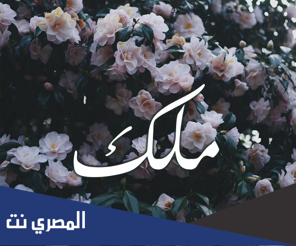 ما معنى اسم ملك