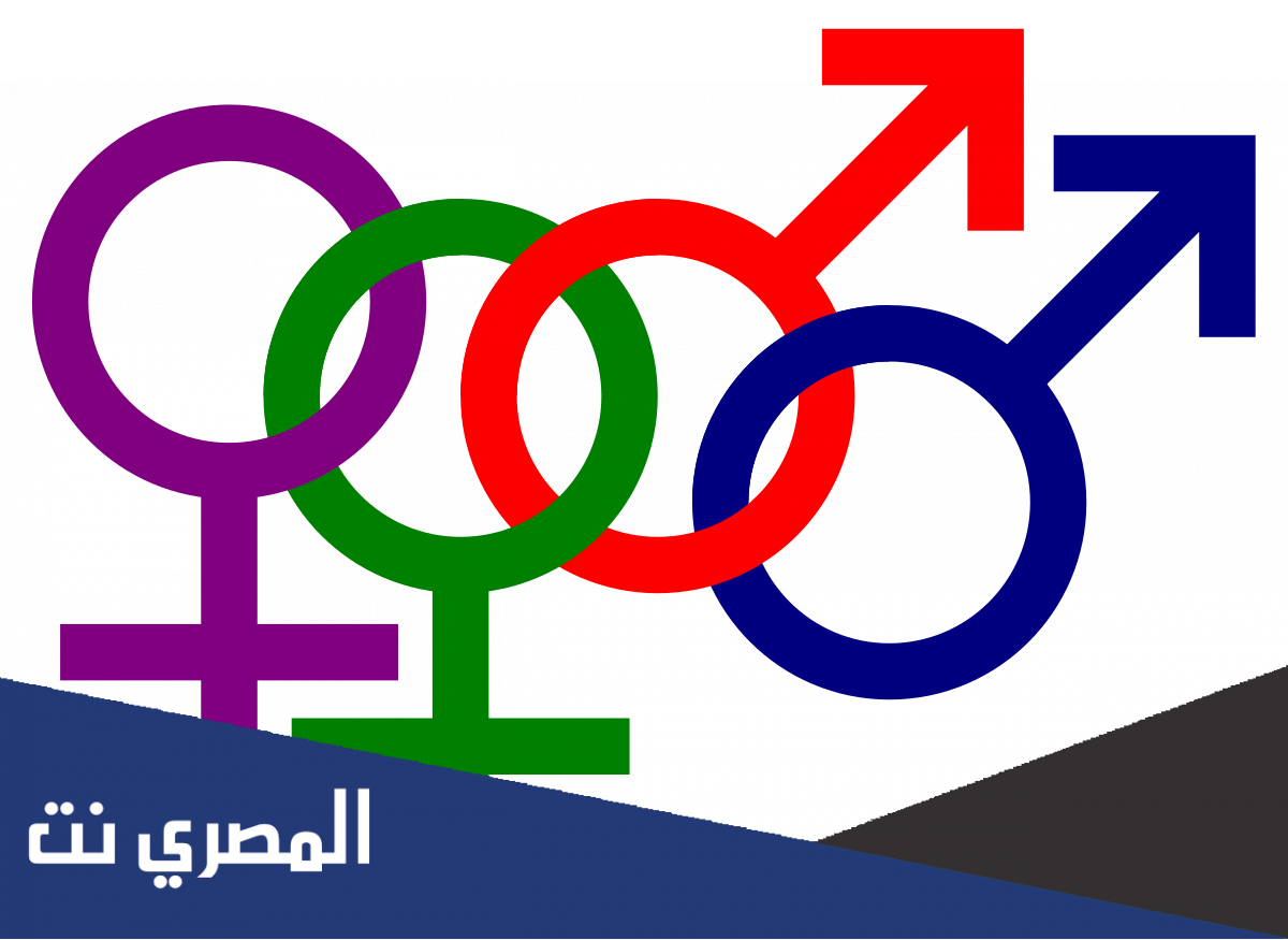 ما معنى المثليين الجنسيين