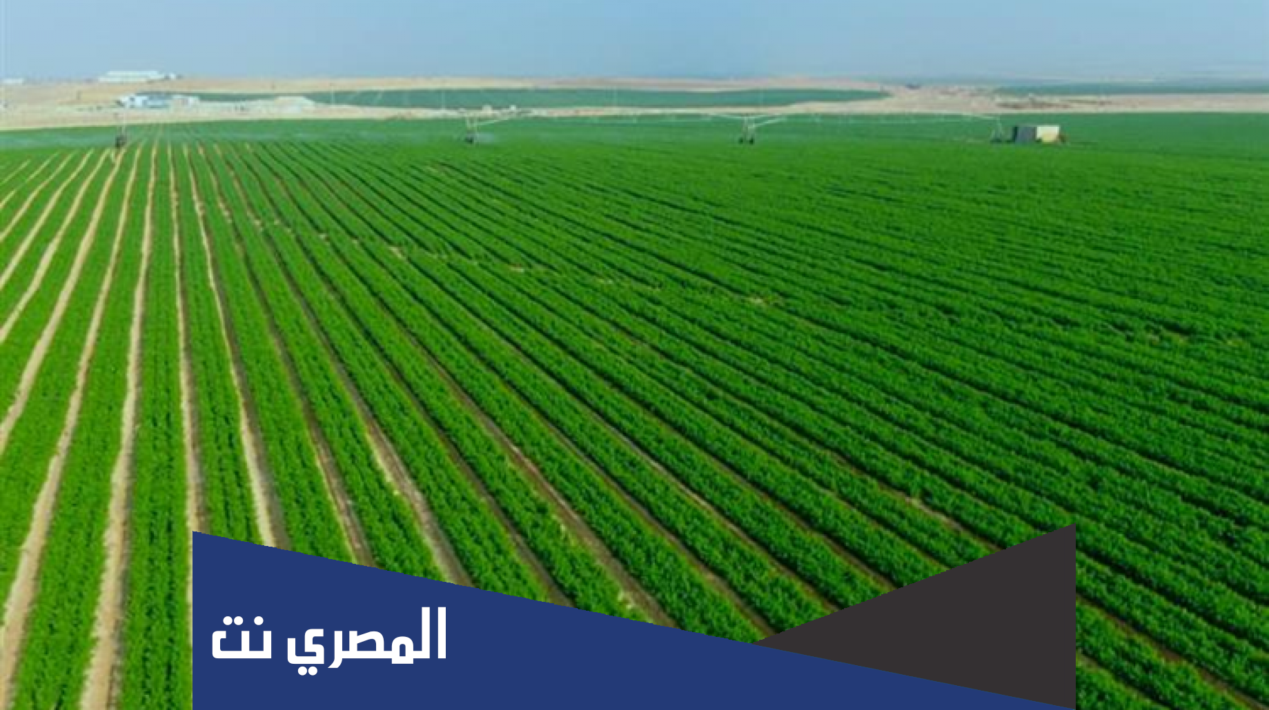 مشروع مستقبل مصر للإنتاج الزراعي بمصر