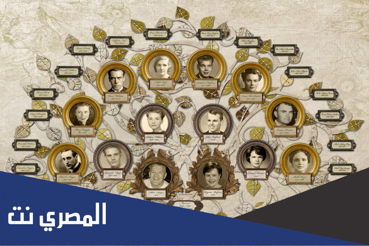 معرفة شجرة العائلة بالرقم القومى من دار المحفوظات في مصر