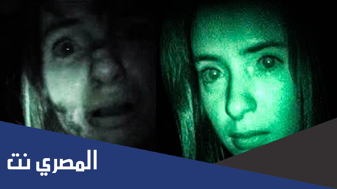 معلومات عن teresa dialog