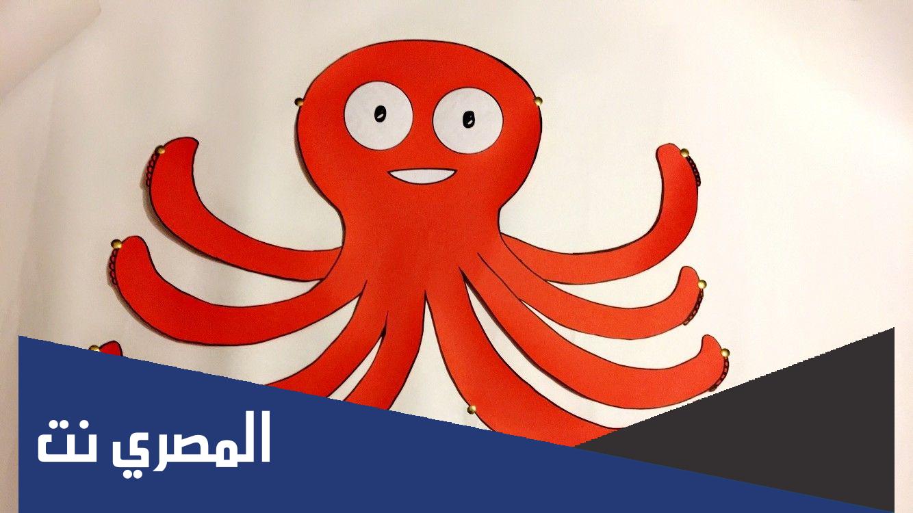 معلومات عن الاخطبوط للاطفال