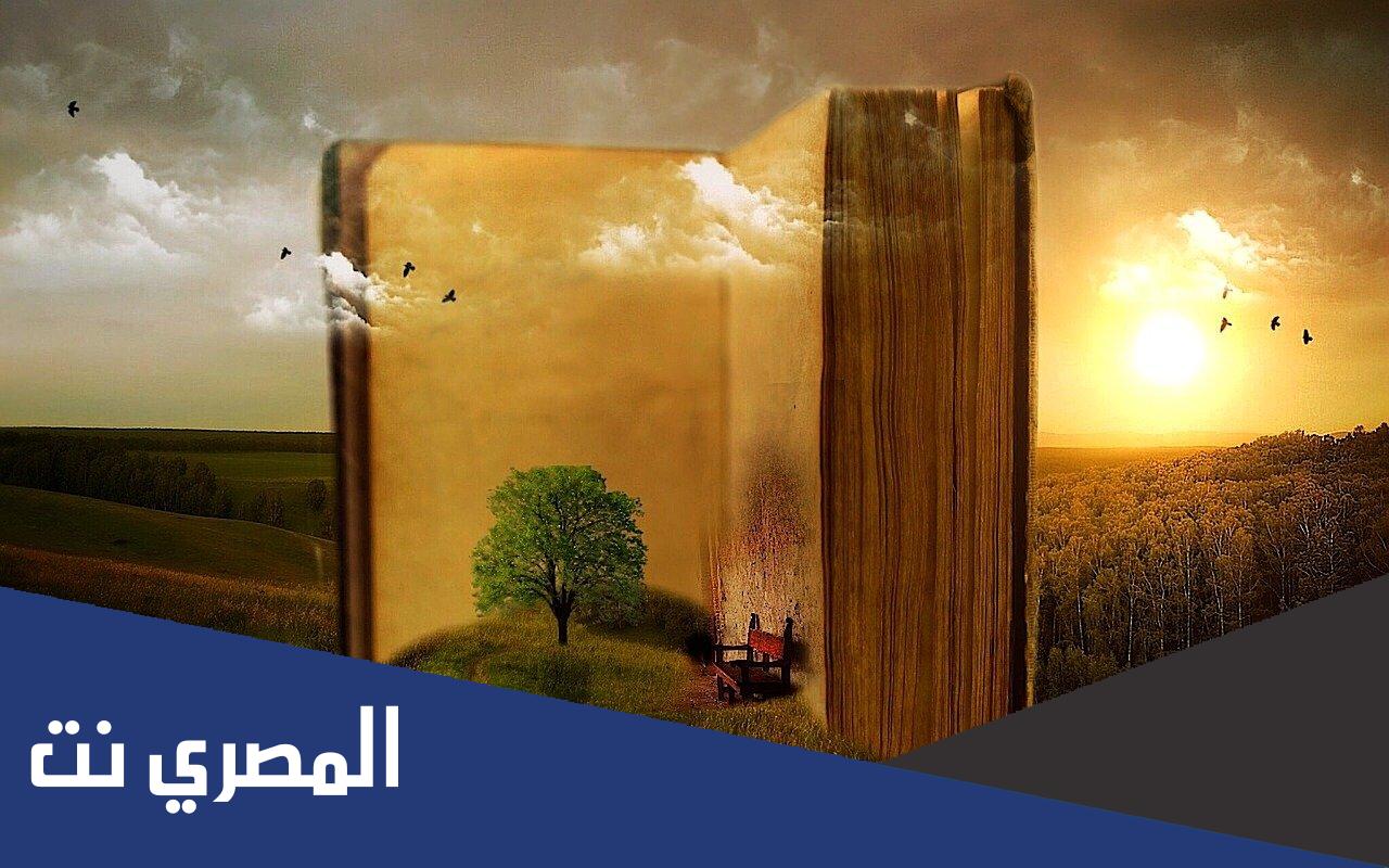 معلومات عن العالم الجليل ابن مقلة