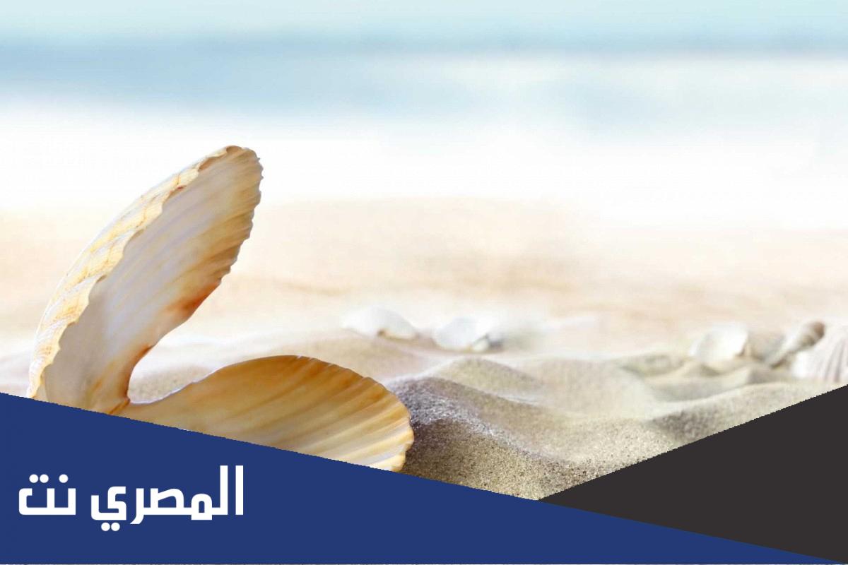 معلومات عن اللؤلؤ الطبيعي والزراعي والصناعي