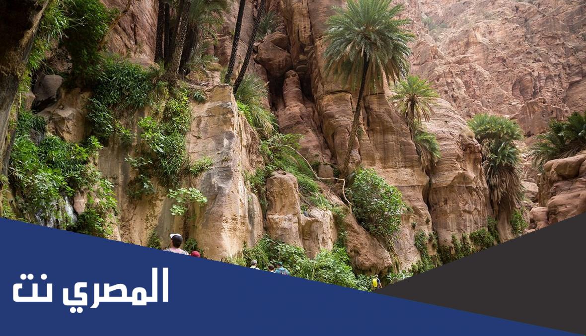 معلومات عن محمية ضانا