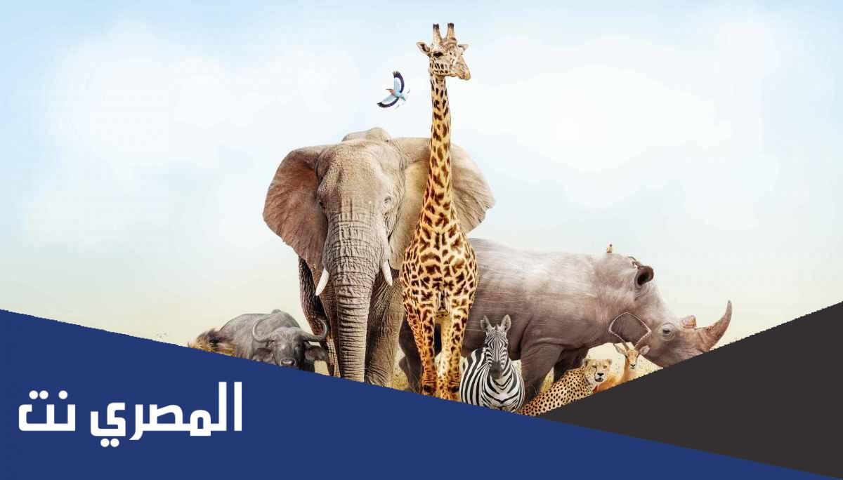 معلومات غريبة عن الحيوانات بالانجليزي