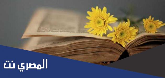 من خطوات كتابة الوصف