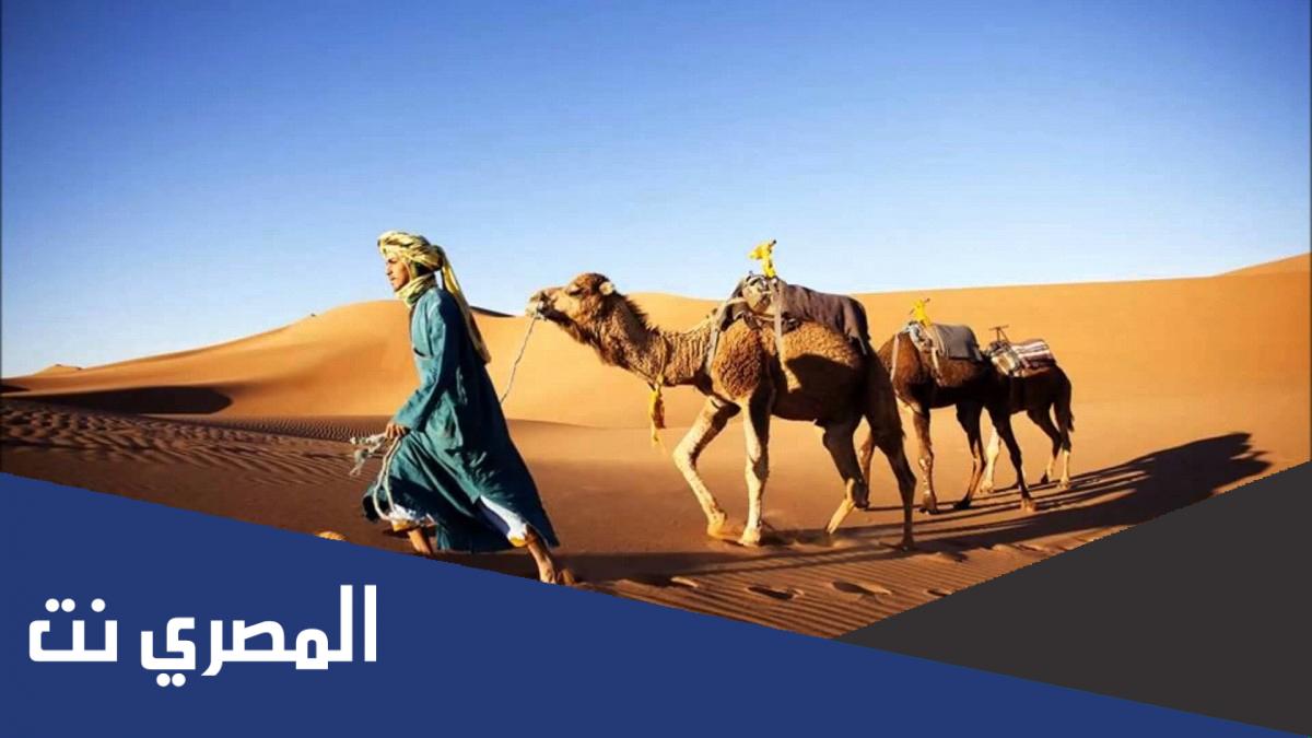 منيره الخرعان من اي قبيلة