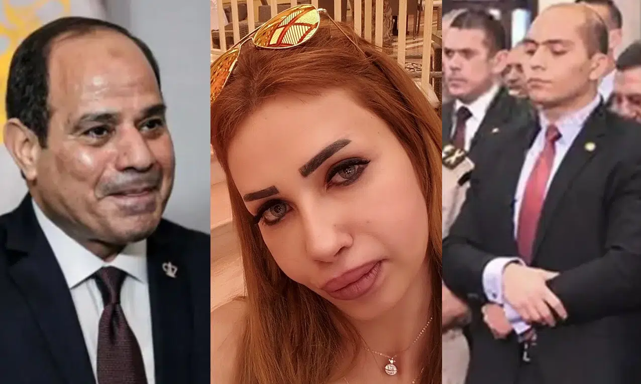نرمين عادل ويكيبيديا