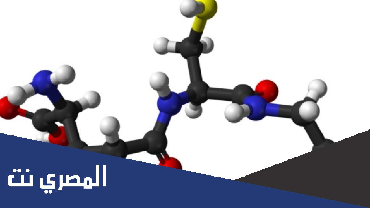 وحدة بناء البروتين هي