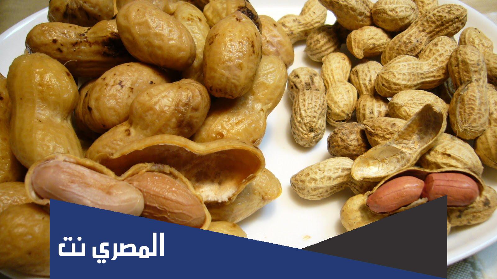 وش اسم السبال المملح في الامارات